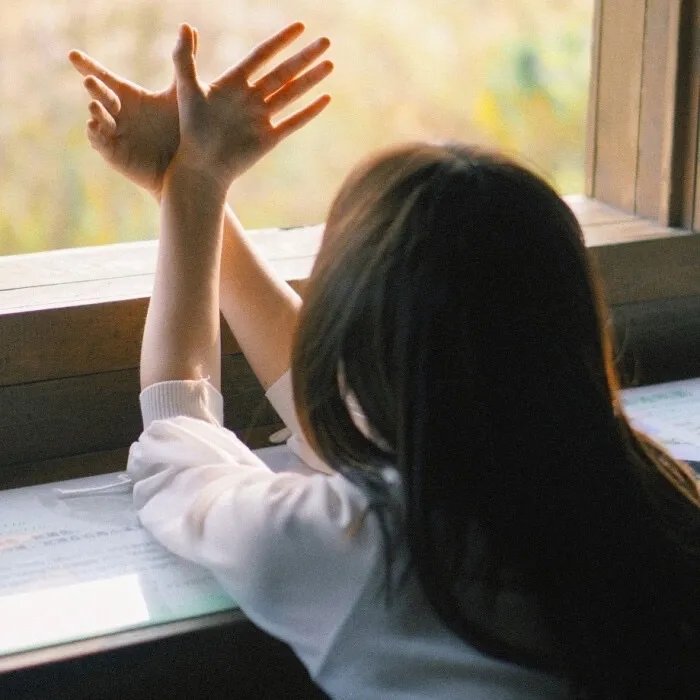 再见了，橡果兄弟！